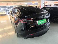 Tesla Model Y High Performance All-Wheel Drive - фото 4