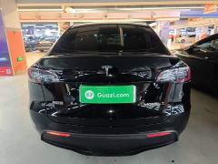 Tesla Model Y High Performance All-Wheel Drive - фото 5