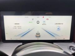 FAW Red Flag H5 PHEV 170 Super Hybrid Edition - фото 14