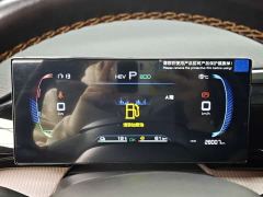 BYD Song Pro New Energy DM-i 71KM Glory Edition Pilot - photo 14