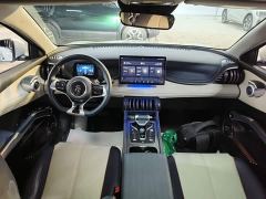 BYD Yuan Plus 510KM Flagship - photo 9