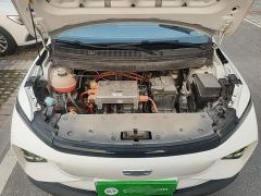 Geely Geometry E Firefly 320KM Happy Tiger 5-Seater - ფოტო 19