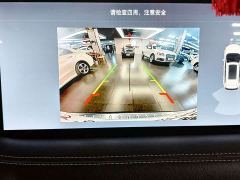 Ford Edge PLUS EcoBoost 245 FWD Platinum Sharp 5-Seater - фото 18