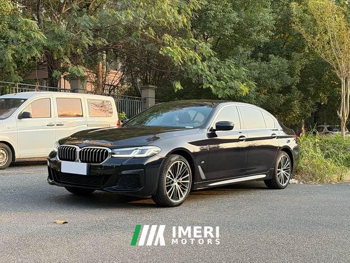 BMW 5 Series 530Li Premier M Sport Package - car from China