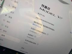 Tesla Model Y L Long Range All-Wheel Drive - ფოტო 7