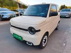 Geely Panda Mini 210km Vitality Edition - ფოტო 1
