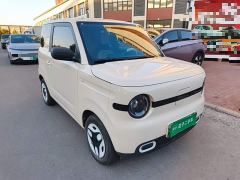 Geely Panda Mini 210km Vitality Edition - ფოტო 3