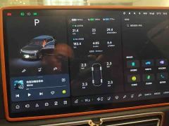 Li Auto L7 Pro - ფოტო 5