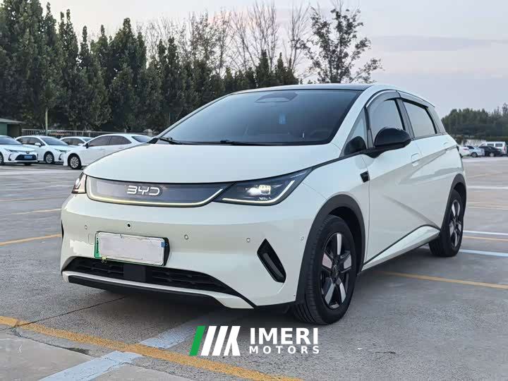 BYD Dolphin Smart Drive 410km Fashion Edition - автомобиль из Китая