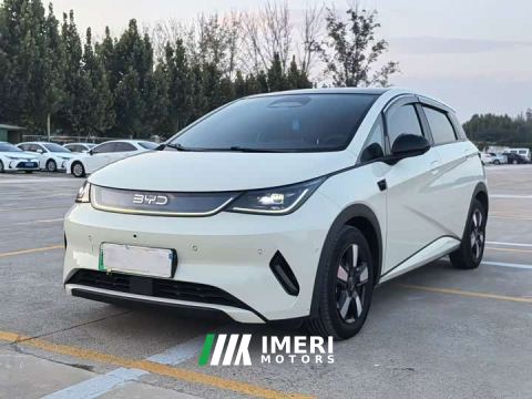 2025 BYD Dolphin Smart Drive 410km Fashion Edition - ავტომობილი ჩინეთიდან