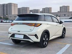 BYD Dolphin Smart Drive 410km Fashion Edition - фото 9