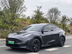 Tesla Model Y Rear-Wheel Drive - ფოტო 1