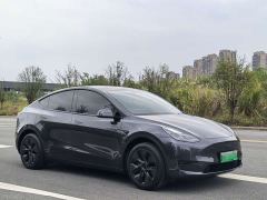 Tesla Model Y Rear-Wheel Drive - ფოტო 3
