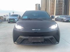 BYD Seagull Freedom Edition - ფოტო 1