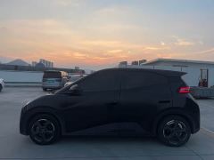 BYD Seagull Freedom Edition - ფოტო 3