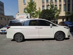 Buick GL8 New Energy Lusang Smart Comfort Edition - фото 7