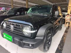 Tank 300 Off-Road Edition 2.0T Conqueror - ფოტო 1