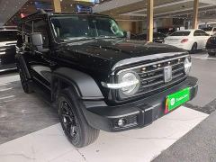 Tank 300 Off-Road Edition 2.0T Conqueror - ფოტო 3