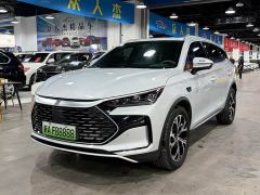 BYD Tang New Energy Smart Driving DM-i 115KM Premium Edition - photo 3