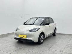 Wuling Binguo 333km Joy Edition - ფოტო 1