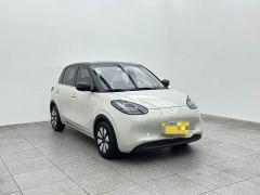 Wuling Binguo 333km Joy Edition - ფოტო 3