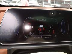 ORA Good Cat 401km Standard Range Deluxe Edition LFP Battery - ფოტო 11