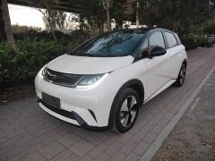 BYD Dolphin 420km Freedom Edition - ფოტო 1