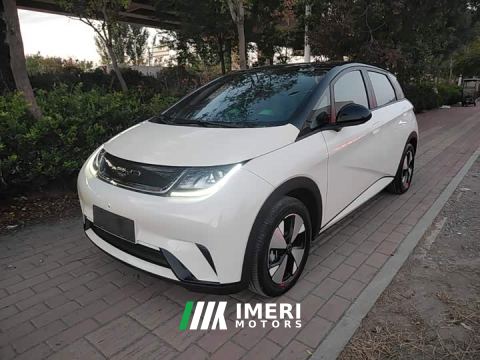 2023 BYD Dolphin 420km Freedom Edition - car from China