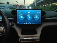 BYD Dolphin 420km Freedom Edition - ფოტო 12