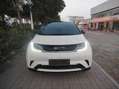 BYD Dolphin 420km Freedom Edition - ფოტო 2