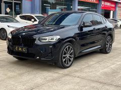BMW X4 xDrive 25i M Sport Package - фото 1
