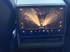 Tesla Model 3 Rear-Wheel Drive - ფოტო 11