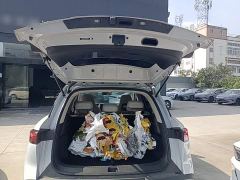 BYD Yuan UP Smart Drive 401KM Superior Edition - ფოტო 18