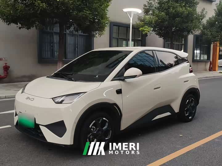 BYD Seagull Smart Driving Edition 305km Freedom Edition
