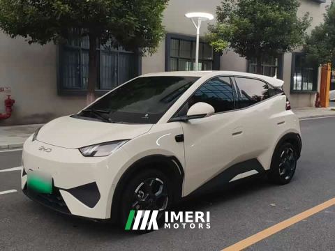 2025 BYD Seagull Smart Driving Edition 305km Freedom Edition - ავტომობილი ჩინეთიდან