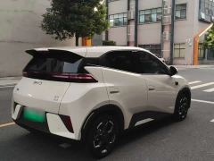 BYD Seagull Smart Driving Edition 305km Freedom Edition - photo 6