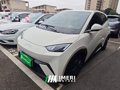 2025 BYD Seagull 305km Vitality Edition - ავტომობილი ჩინეთიდან