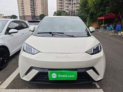 BYD Seagull 305km Vitality Edition - ფოტო 2