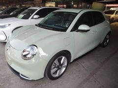 ORA Good Cat 401km Standard Range Deluxe LFP - ფოტო 1