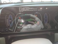 ORA Good Cat 401km Standard Range Deluxe LFP - ფოტო 11