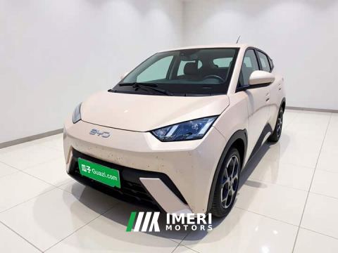 2024 BYD Seagull 305km Freedom Edition - car from China