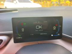 BYD Seagull 305km Freedom Edition - ფოტო 12