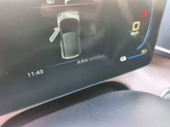 BYD Seagull 305km Freedom Edition - ფოტო 13