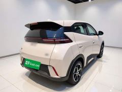 BYD Seagull 305km Freedom Edition - ფოტო 6