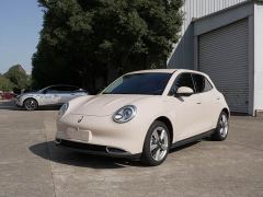 ORA Good Cat 400km Standard Range Venus Edition Ternary Lithium Battery - photo 1