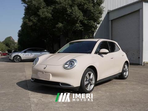 2022 ORA Good Cat 400km Standard Range Venus Edition Ternary Lithium Battery - car from China