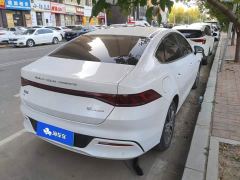 BYD Qin PLUS Champion Edition EV 420KM Excellence - фото 3