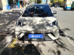 BYD Seagull 305km Freedom Edition - photo 2