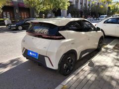 BYD Seagull 305km Freedom Edition - photo 3