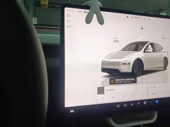 Tesla Model Y Long Range All-Wheel Drive - ფოტო 13